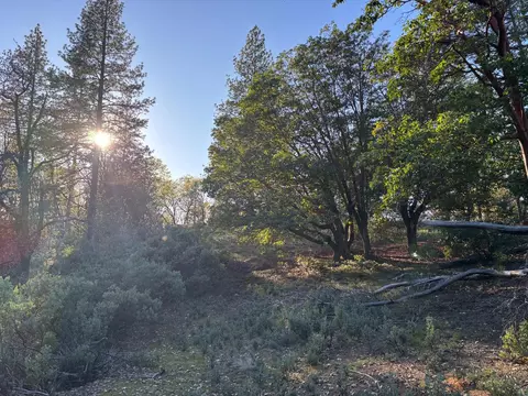 4110 Pine Mountain Rd, Foresthill, CA 95631 photo 10