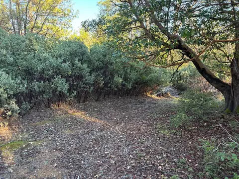 4110 Pine Mountain Rd, Foresthill, CA 95631 photo 7