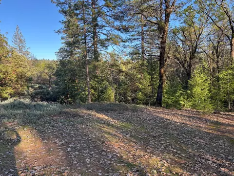 4110 Pine Mountain Rd, Foresthill, CA 95631 photo 6