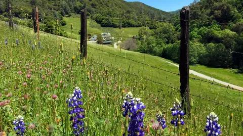 Other - 3000 Sheep Ranch Rd, Murphys, CA 95247 photo 17 of 21