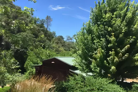 Other - 3000 Sheep Ranch Rd, Murphys, CA 95247 photo 18 of 21