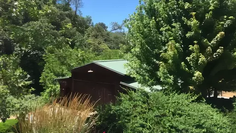 Other - 3000 Sheep Ranch Rd, Murphys, CA 95247 photo 19 of 21