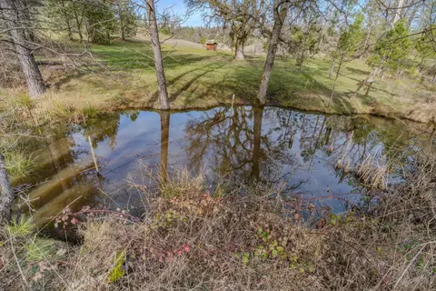 View/Area - 301 Bald Mountain Rd, West Point, CA 95255 photo 3 of 3