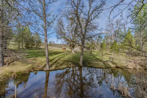 View/Area - 301 Bald Mountain Rd, West Point, CA 95255 photo 2 of 3