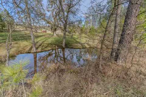 View/Area - 301 Bald Mountain Rd, West Point, CA 95255 photo 1 of 3
