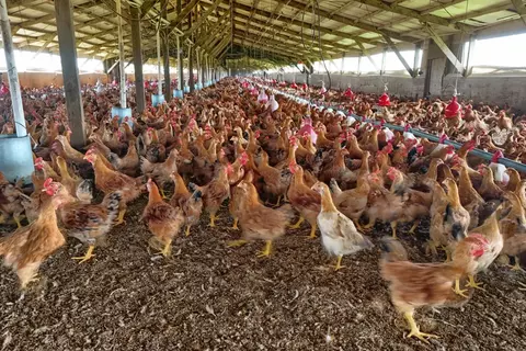 Other - 17164 Keyes Rd, Snelling, CA 95369 photo 33 of 33