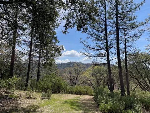 0 Armstrong Rd, Sheep Ranch, CA 95246