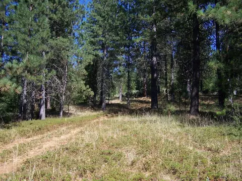 0 Parcel A Armstrong Rd, Sheep Ranch, CA 95250