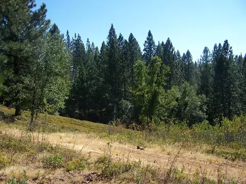 0 Parcel A Armstrong Rd, Sheep Ranch, CA 95250 photo 3