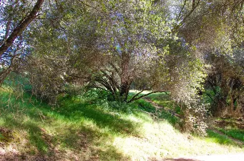 19 Leonard Rd, San Andreas, CA 95249 photo 33