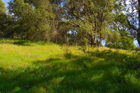 19 Leonard Rd, San Andreas, CA 95249 photo 39