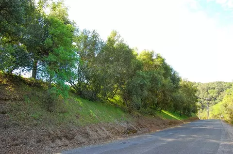 19 Leonard Rd, San Andreas, CA 95249 photo 27