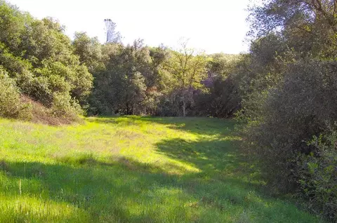 19 Leonard Rd, San Andreas, CA 95249 photo 18