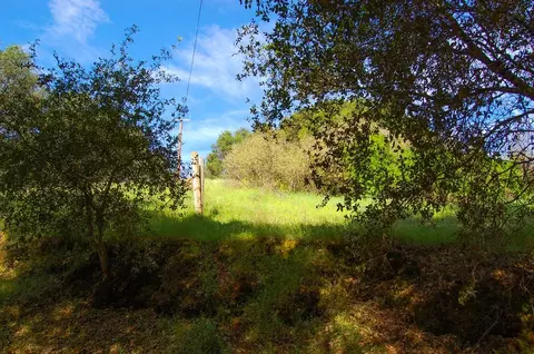 19 Leonard Rd, San Andreas, CA 95249 photo 32