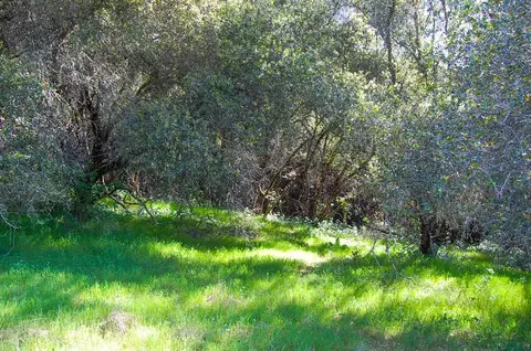 19 Leonard Rd, San Andreas, CA 95249 photo 24