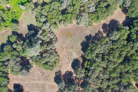 10050 Pineapple Ct, Grass Valley, CA 95949 photo 7