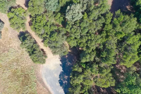 10050 Pineapple Ct, Grass Valley, CA 95949 photo 9