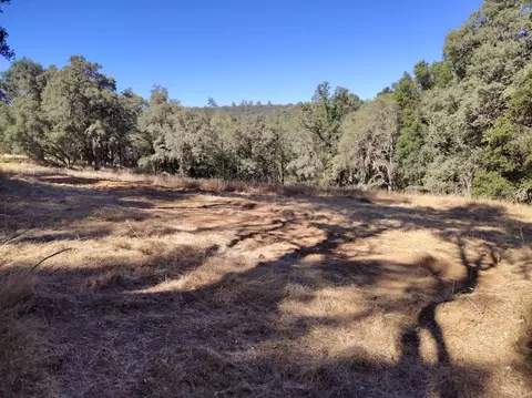 10050 Pineapple Ct, Grass Valley, CA 95949 photo 4