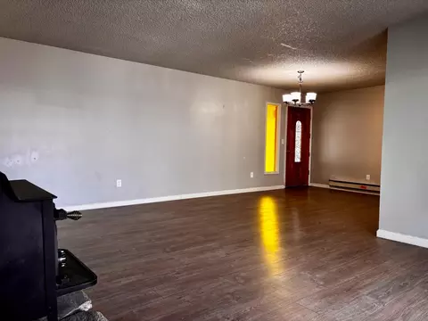 Living - 111 Patterson Ave, Loyalton, CA 96118 photo 8 of 9