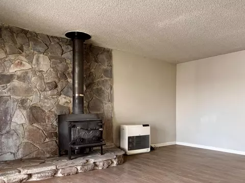 Living - 111 Patterson Ave, Loyalton, CA 96118 photo 1 of 9