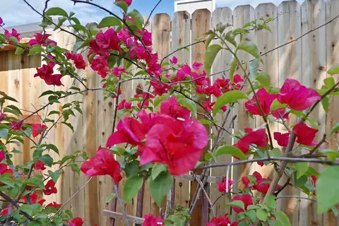 Other - 512 Mockingbird Dr, Lodi, CA 95240 photo 9 of 9