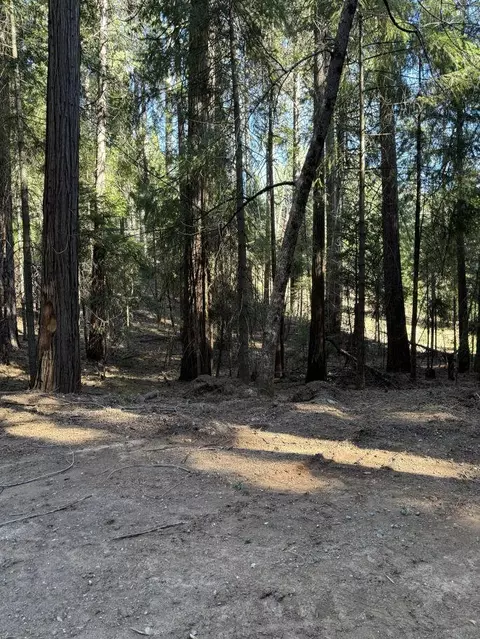 0 Caine Rd, Alta, CA 95701 photo 2