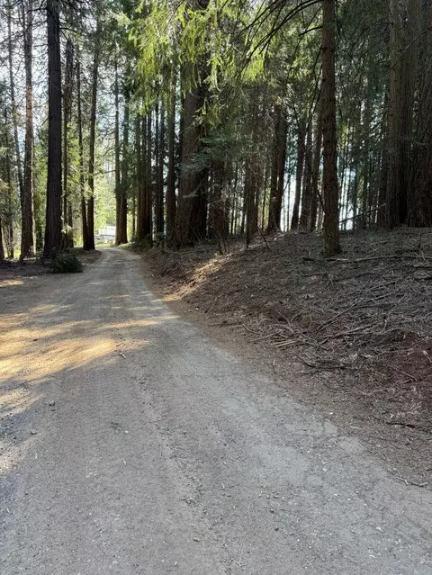 0 Caine Rd, Alta, CA 95701 photo 7