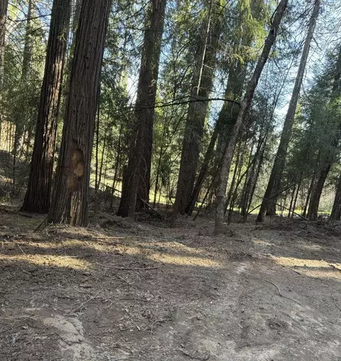 0 Caine Rd, Alta, CA 95701 photo 3