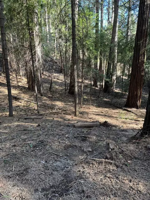 0 Caine Rd, Alta, CA 95701 photo 6