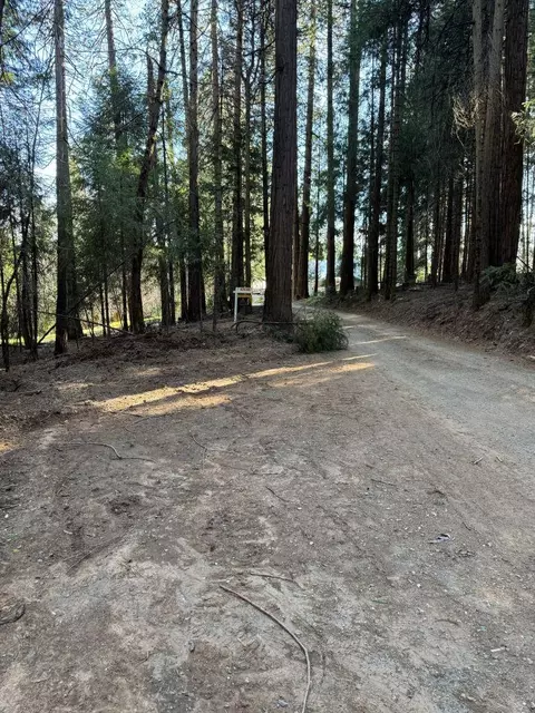 0 Caine Rd, Alta, CA 95701 photo 8