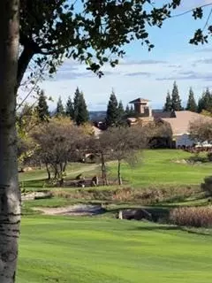 Other - 184 Quail Creek Ter, Copperopolis, CA 95228 photo 12 of 13