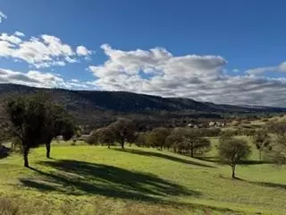 Other - 184 Quail Creek Ter, Copperopolis, CA 95228 photo 3 of 13
