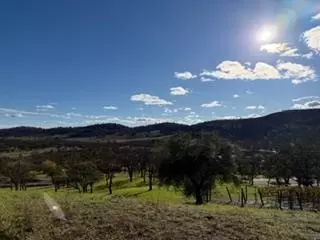 Other - 184 Quail Creek Ter, Copperopolis, CA 95228 photo 8 of 13