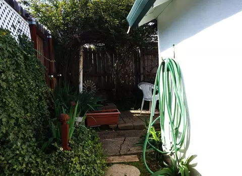Exterior - 245 Walnut St, Jackson, CA 95642 photo 12 of 13
