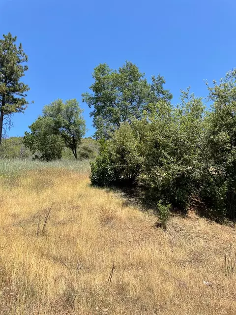 5825 Mountain Ranch Rd, Mountain Ranch, CA 95246 photo 8