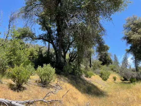 5825 Mountain Ranch Rd, Mountain Ranch, CA 95246 photo 6