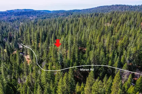 3488 Moran Rd, Avery, CA 95224 photo 20