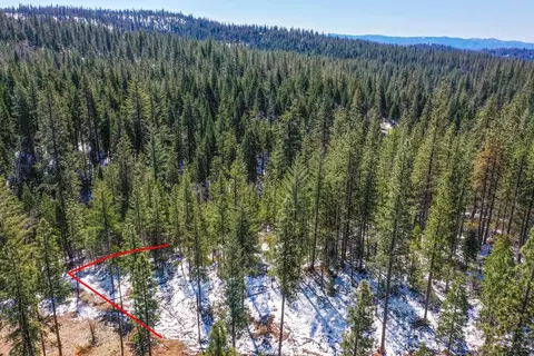 3488 Moran Rd, Avery, CA 95224 photo 6