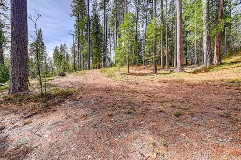 3488 Moran Rd, Avery, CA 95224 photo 2