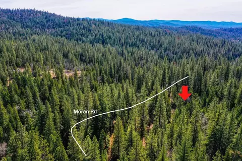 3488 Moran Rd, Avery, CA 95224 photo 18