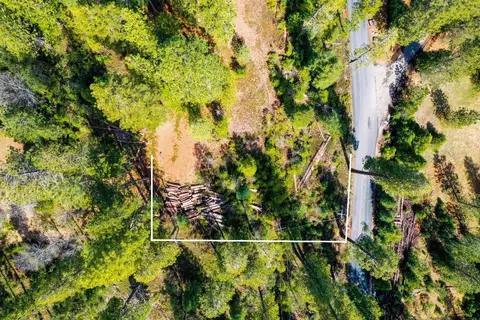 3488 Moran Rd, Avery, CA 95224 photo 26