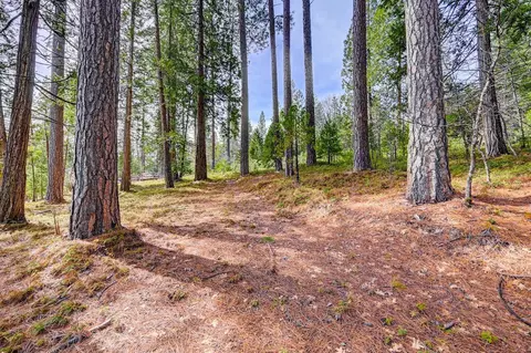3488 Moran Rd, Avery, CA 95224 photo 13