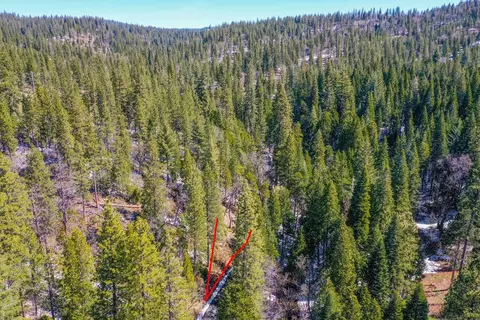 3488 Moran Rd, Avery, CA 95224 photo 9