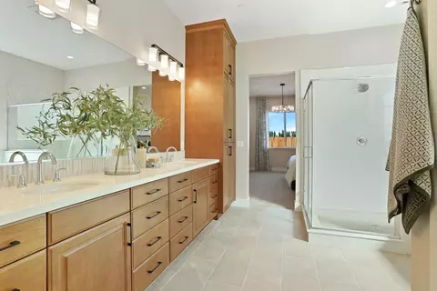 Bath - 2278 Dilip Dr, Manteca, CA 95337 photo 4 of 6