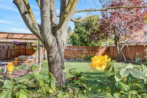 Exterior - 6016 Homesweet Way, Carmichael, CA 95608 photo 13 of 19