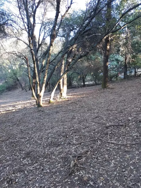 110 Gold Dust Trl, Sutter Creek, CA 95685