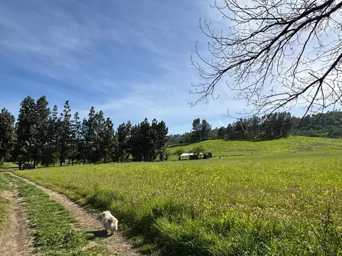 19890 County Road 79a, Capay, CA 95607 photo 23