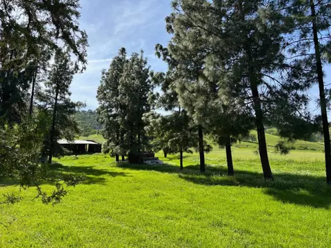 19890 County Road 79a, Capay, CA 95607 photo 20
