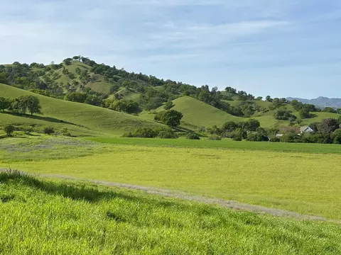 19890 County Road 79a, Capay, CA 95607 photo 30