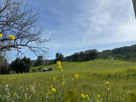 19890 County Road 79a, Capay, CA 95607 photo 22
